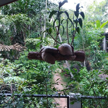 Rock Side Inn Unawatuna Ngoại thất bức ảnh