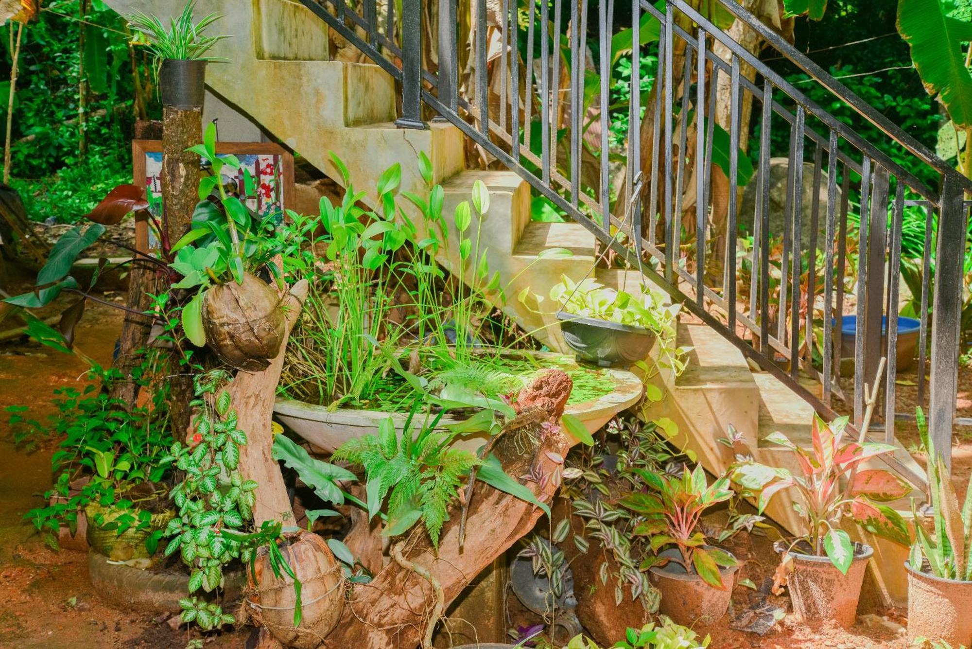 Rock Side Inn Unawatuna Ngoại thất bức ảnh